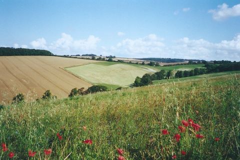 Cave Wold