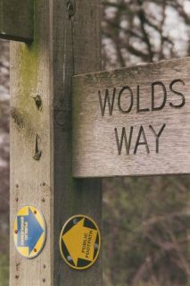 Wolds Way sign, Little Wold Plantation